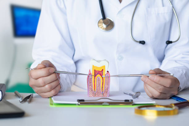 Best Emergency Dental Care for Broken or Chipped Teeth in Dunn Loring, VA